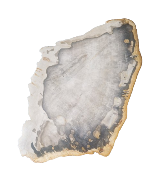 Versteend houten design lamp -  Dual White - 2700k - 6500k - #102