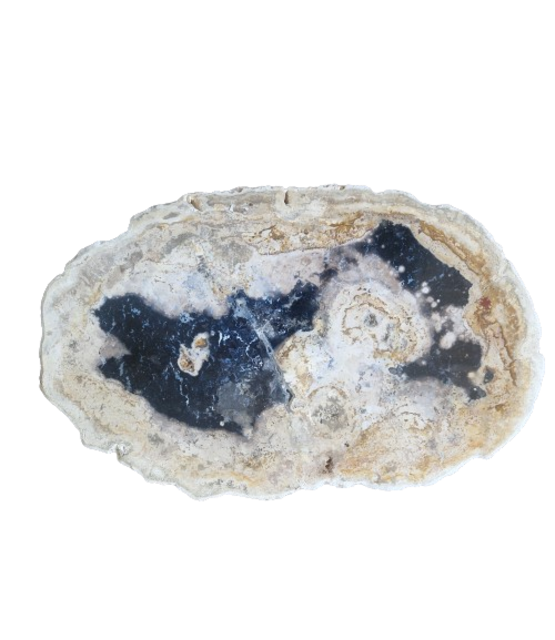 Versteend houten design lamp -  Dual White - 2700k - 6500k - #104