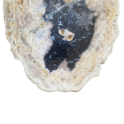 Versteend houten design lamp -  Dual White - 2700k - 6500k - #104