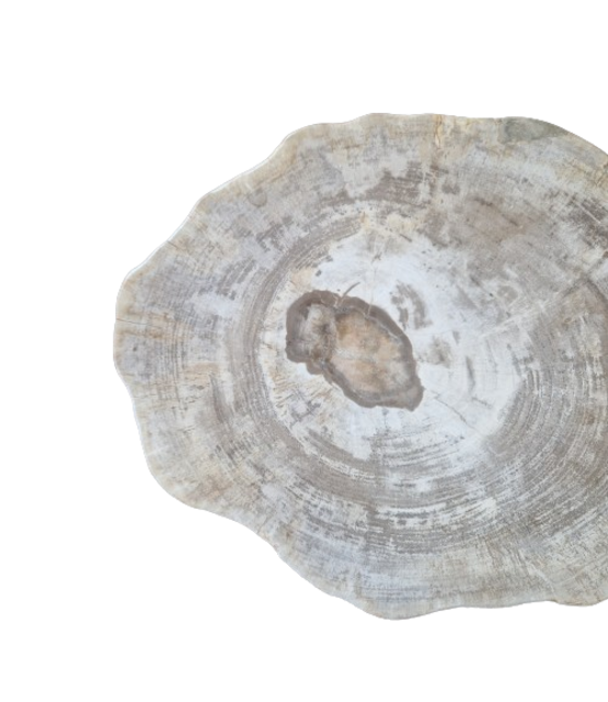 Versteend houten design lamp -  Dual White - 2700k - 6500k - #105