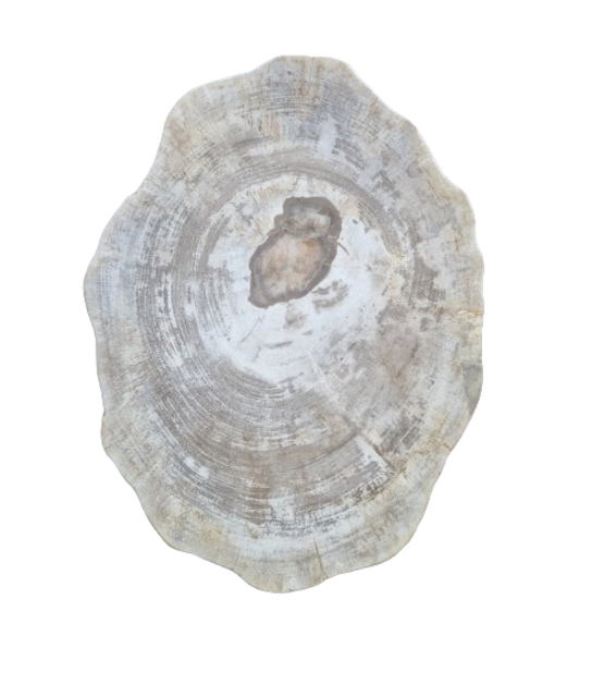 Versteend houten design lamp -  Dual White - 2700k - 6500k - #105