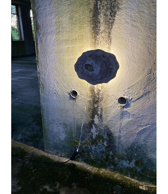 Versteend houten design lamp -  Dual White - 2700k - 6500k - #105