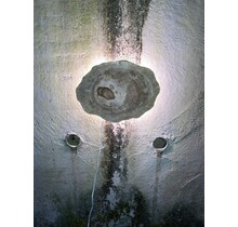 Versteend houten design lamp -  Dual White - 2700k - 6500k - #105