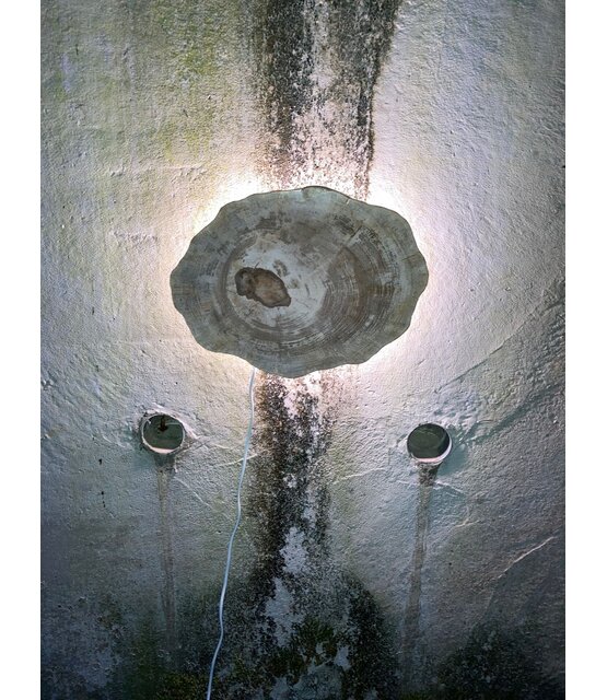 Versteend houten design lamp -  Dual White - 2700k - 6500k - #105