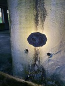 Versteend houten design lamp -  Dual White - 2700k - 6500k - #105