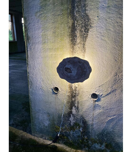 Versteend houten design lamp -  Dual White - 2700k - 6500k - #105