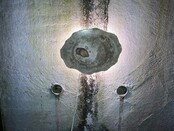 Versteend houten design lamp -  Dual White - 2700k - 6500k - #105