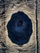 Versteend houten design lamp -  Dual White - 2700k - 6500k - #105