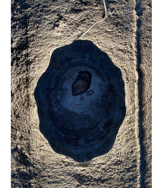 Versteend houten design lamp -  Dual White - 2700k - 6500k - #105