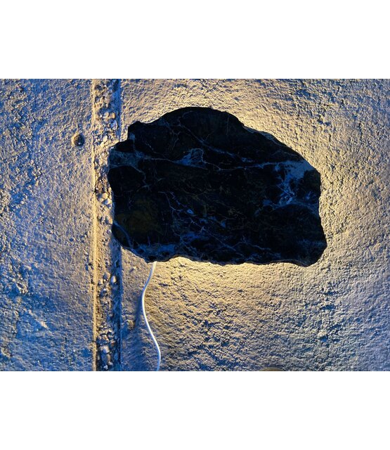 Versteend houten design lamp -  Dual White - 2700k - 6500k - #101