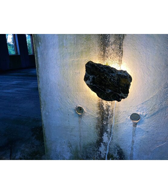 Versteend houten design lamp -  Dual White - 2700k - 6500k - #101