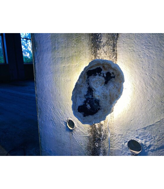 Versteend houten design lamp -  Dual White - 2700k - 6500k - #104