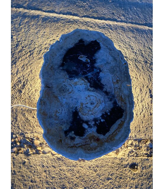 Versteend houten design lamp -  Dual White - 2700k - 6500k - #104