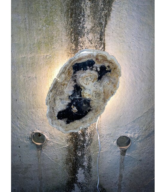 Versteend houten design lamp -  Dual White - 2700k - 6500k - #104