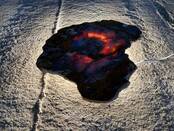 Versteend houten design lamp -  Dual White - 2700k - 650k - #106