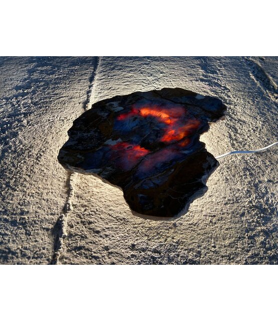 Versteend houten design lamp -  Dual White - 2700k - 650k - #106