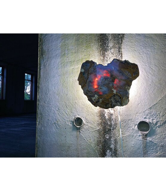 Versteend houten design lamp -  Dual White - 2700k - 650k - #106