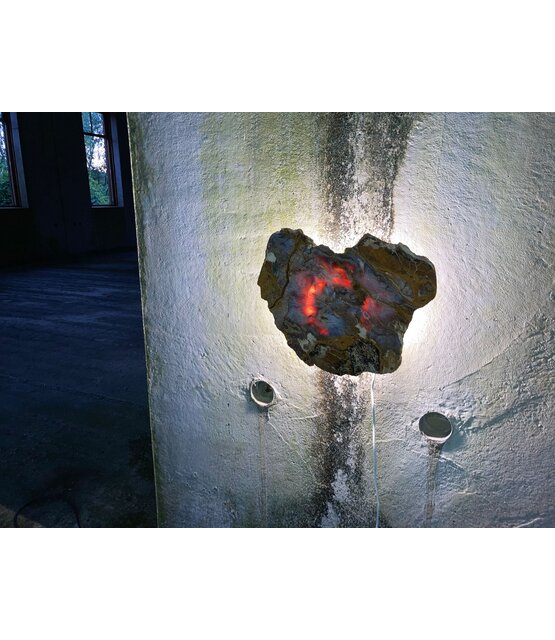 Versteend houten design lamp -  Dual White - 2700k - 650k - #106