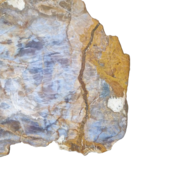 Versteend houten design lamp -  Dual White - 2700k - 650k - #106