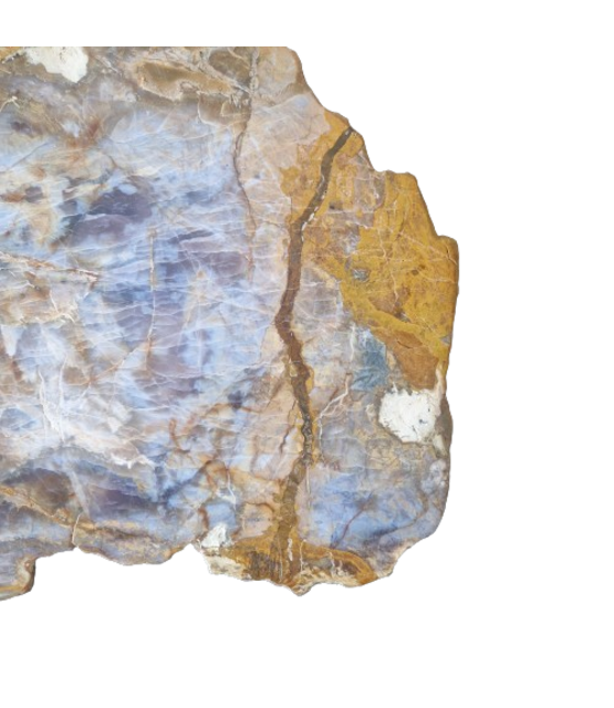 Versteend houten design lamp -  Dual White - 2700k - 650k - #106