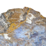 Versteend houten design lamp -  Dual White - 2700k - 650k - #106