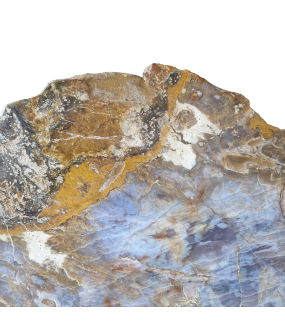 Versteend houten design lamp -  Dual White - 2700k - 650k - #106