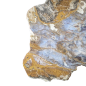 Versteend houten design lamp -  Dual White - 2700k - 650k - #106