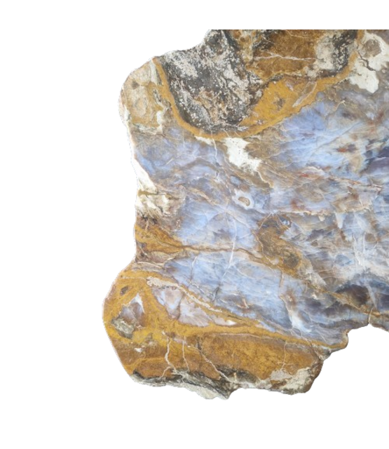 Versteend houten design lamp -  Dual White - 2700k - 650k - #106