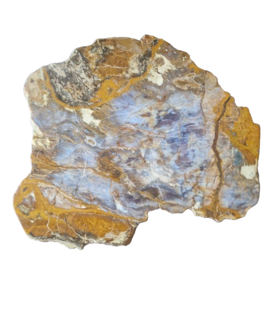 Versteend houten design lamp -  Dual White - 2700k - 650k - #106