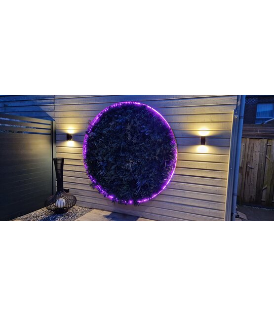 Neon Flex LED strip 24 volt RGBWW 18W 1050LM 16 x 16mm IP67