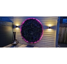 Neon Flex LED strip 24 volt RGBWW 18W 1050LM 12 x 20mm IP67 – 5 meter