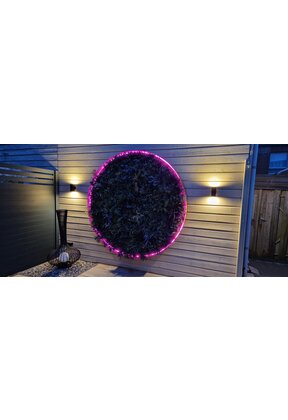 Neon Flex LED strip 24 volt RGBWW 18W 1050LM 16 x 16mm IP67