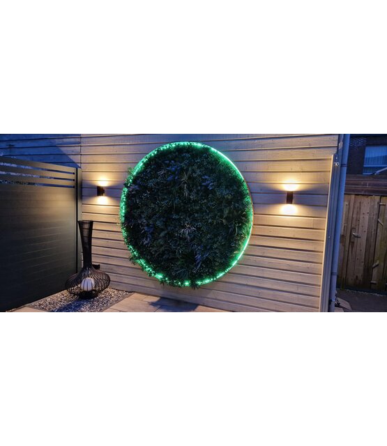 Neon Flex LED strip 24 volt RGBWW 18W 1050LM 16 x 16mm IP67