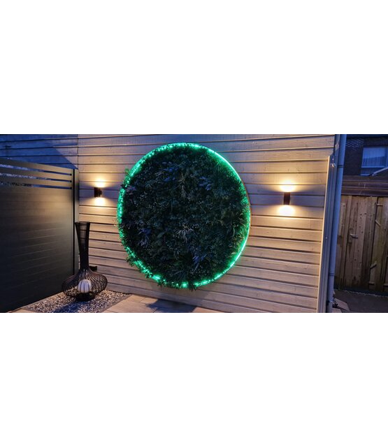 Neon Flex LED strip 24 volt RGBCCT 18W 1050LM 16 x 16mm IP67 – 5 meter
