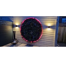 Neon Flex LED strip 24 volt RGBCCT 18W 1050LM 12 x 20mm IP67 – 5 meter