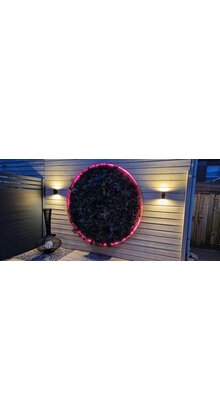 Neon Flex LED strip 24 volt RGBCCT 18W 1050LM 16 x 16mm IP67 – 5 meter