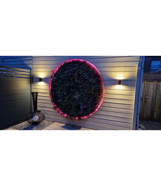 Neon Flex LED strip 24 volt RGBCCT 18W 1050LM 16 x 16mm IP67 – 5 meter