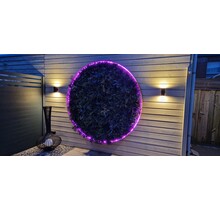 Neon Flex LED strip 24 volt RGBW 18W 1050LM 12 x 20mm IP67 – 10 meter