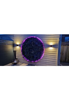 Neon Flex LED strip 24 volt RGBW 18W 1050LM 16 x 16mm IP67 – 10 meter