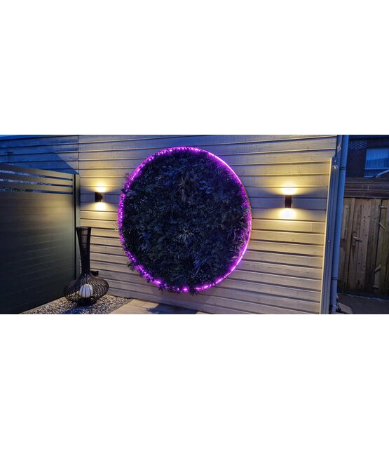 Neon Flex LED strip 24 volt RGBW 18W 1050LM 16 x 16mm IP67 – 10 meter