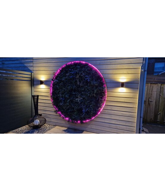 Neon Flex LED strip 24 volt RGBCCT 18W 1050LM 12 x 25mm IP67 – 10 meter