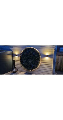 Neon Flex LED strip 24 volt RGBCCT 18W 1050LM 12 x 25mm IP67 – 10 meter