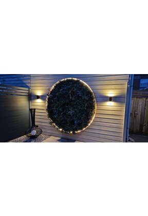 Neon Flex LED strip 24 volt RGBCCT 18W 1050LM 12 x 25mm IP67 – 10 meter