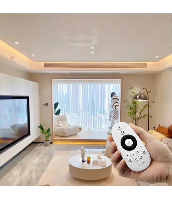 Professionele Zigbee + 2,4ghz 2 in 1 LED controller E2-ZR