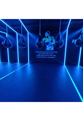 PRO RGBWW LED strip 19W 1250LM 96LED p/m 48VDC IP20 12mm - 20 meter