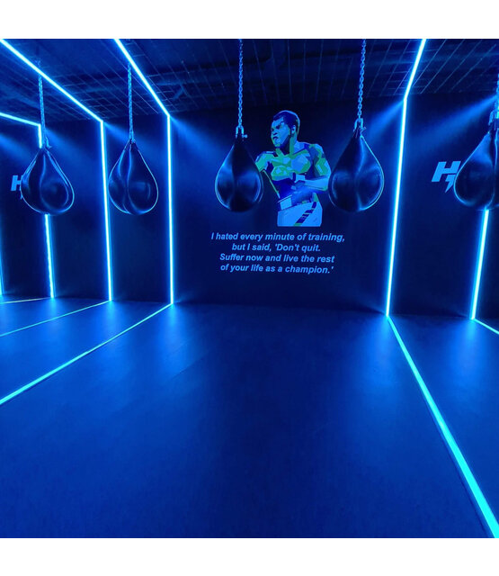 PRO RGBWW LED strip 19W 1250LM 96LED p/m 48VDC IP20 12mm - 20 meter