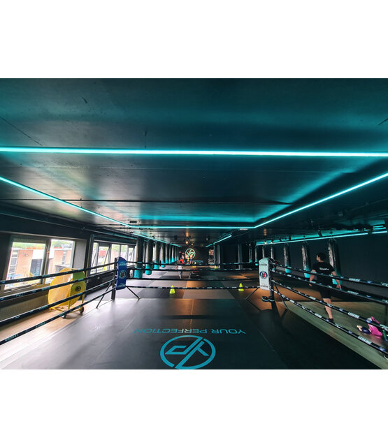 PRO Waterdichte RGBCCT LED strip 19W 1250LM 96LED p/m 48VDC IP68 12mm - 20 meter