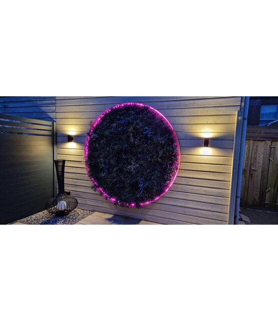 Neon Flex LED strip 12 volt RGB 14,4W 850LM 8 x 16mm IP67 – 5 meter