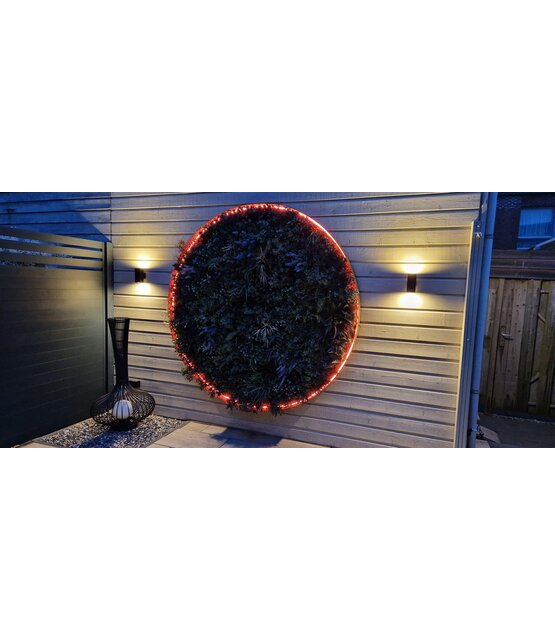 Neon Flex LED strip 12 volt RGB 14,4W 850LM 8 x 16mm IP67 – 5 meter