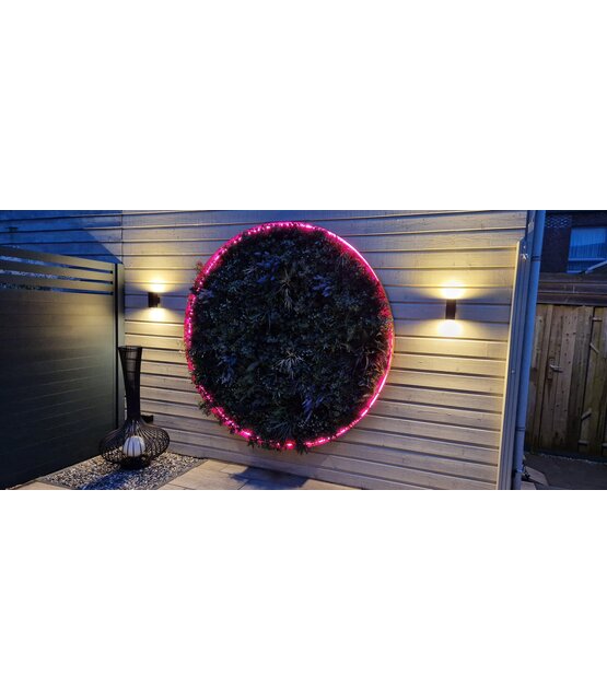 Neon Flex LED strip 12 volt RGB 14,4W 850LM 8 x 16mm IP67 – 5 meter